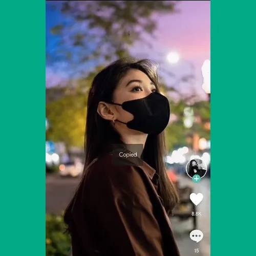 Asian Chick Capcut Template